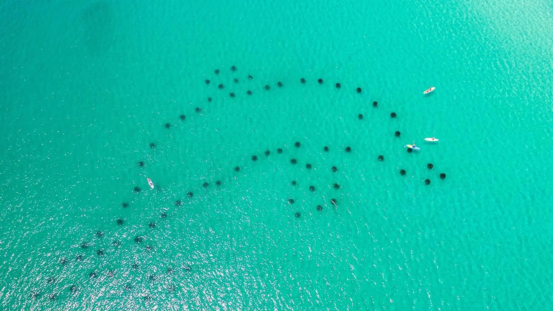 Sandprints A8- By Holiday Isle Properties Destin United States